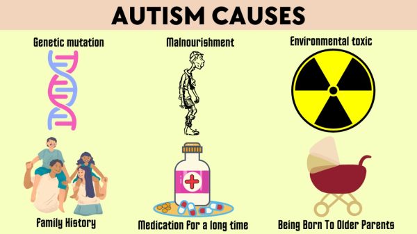 Causes of Autism Spectrum Disorder