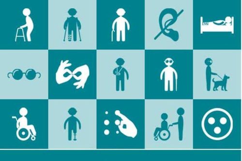 types of handicapped person